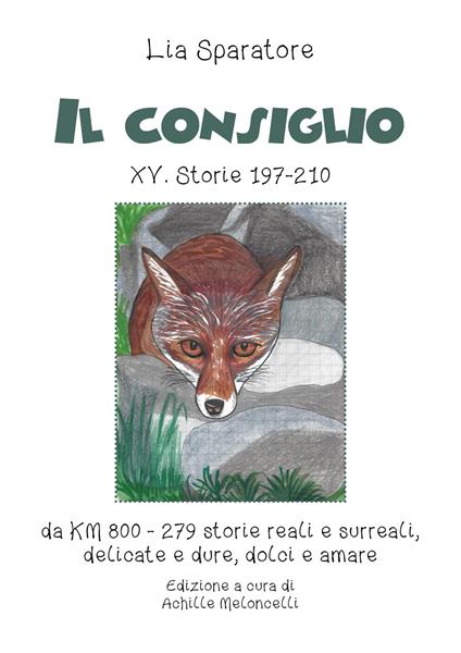 Il consiglio XV. Storie 197-210 da KM 800-279 storie reali e surreali, delicate e dure, dolci e amare - Lia Sparatore - copertina