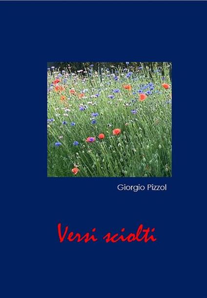 Versi sciolti - Giorgio Pizzol - ebook
