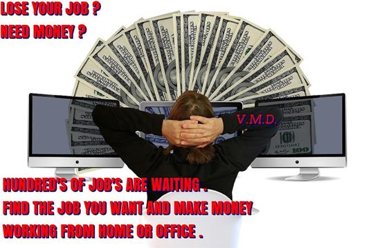 Make money working from home - V.M.D. - ebook