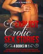 Explicit erotic sex stories (4 books in 1)