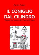 Il coniglio dal cilindro. Viaggio nei quesiti dell'Esame di stato