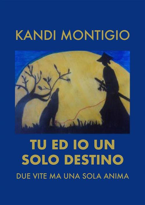 Tu ed io un solo destino. Due vite ma una sola anima - Kandi Montigio - ebook