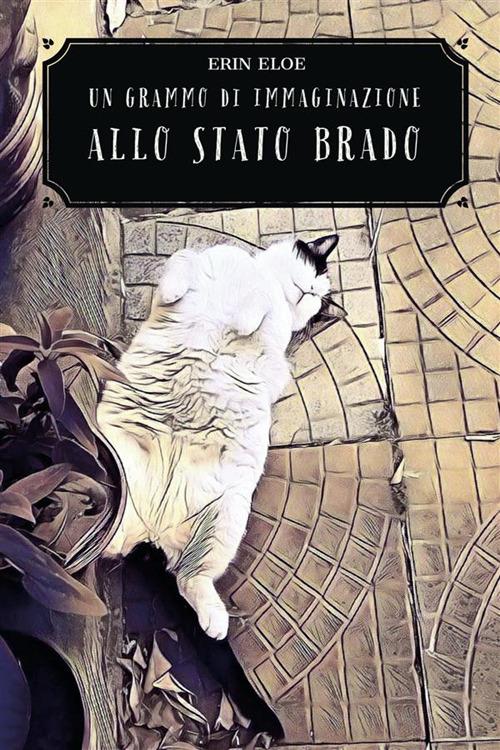 Un grammo di immaginazione allo stato brado - Erin Eloe - ebook