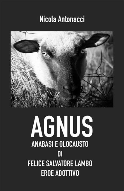 Agnus. Anabasi e olocausto di Felice Salvatore Lambo, eroe adottivo - Nicola Antonacci - ebook