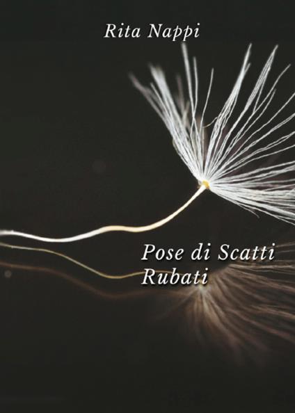 Pose di scatti rubati - Rita Nappi - copertina