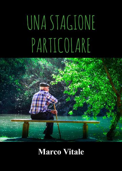 Una stagione particolare - Marco Vitale - copertina