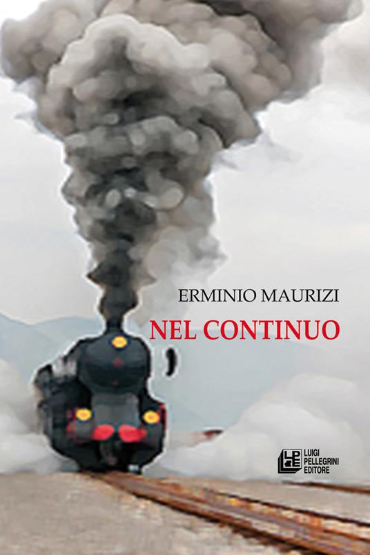Nel continuo - Erminio Maurizi - copertina