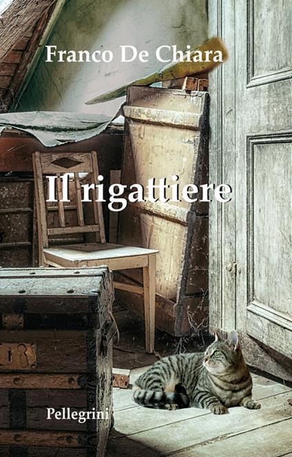 Il rigattiere - Franco De Chiara - ebook