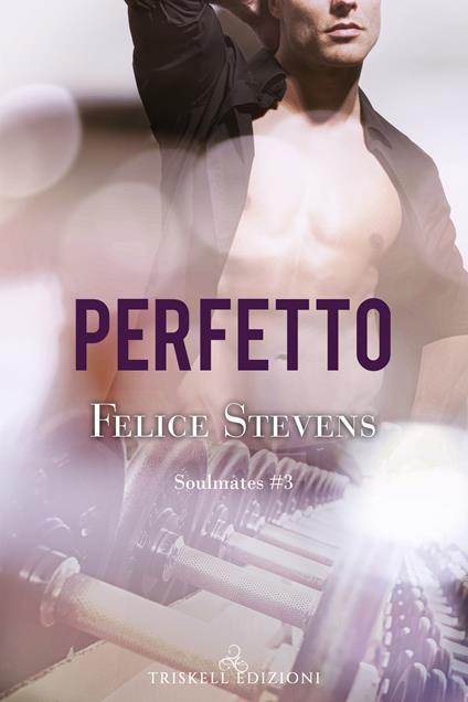 Perfetto. Soulmates. Vol. 3 - Felice Stevens - copertina