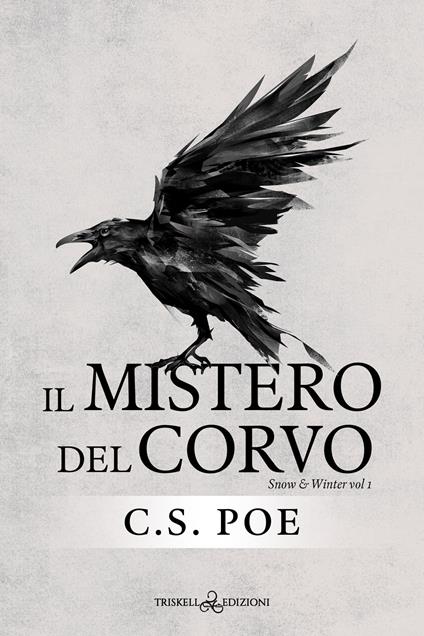 Il mistero del corvo. Snow & Winter. Vol. 1 - C. S. Poe - copertina