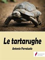 Le tartarughe