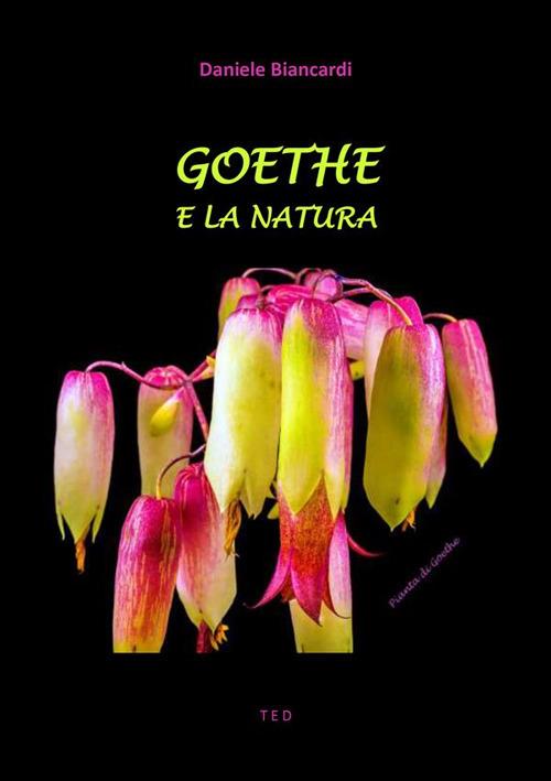 Goethe e la natura - Daniele Biancardi - ebook