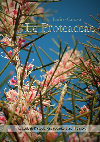 Le Proteaceae - Enrico Caneva - copertina