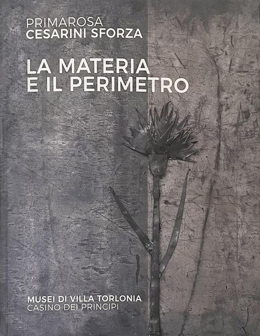 La materia e il perimetro. Primarosa Cesarini Sforza. Ediz. illustrata - Primarosa Cesarini Sforza - copertina