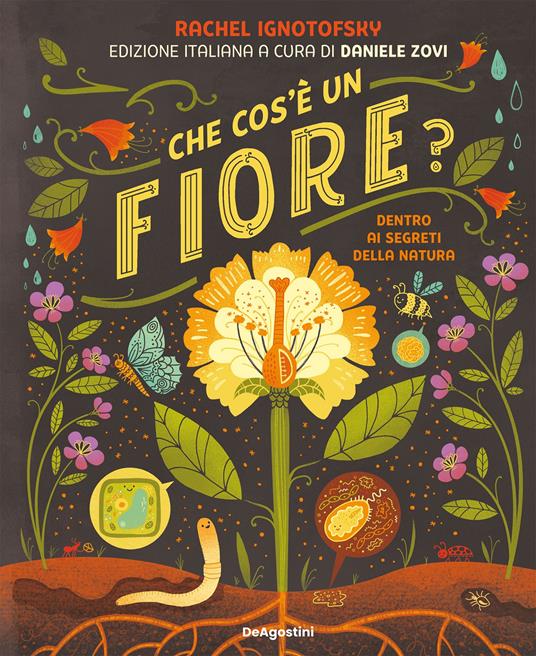 Che cos'è un fiore? Dentro ai segreti della natura - Rachel Ignotofsky,Daniele Zovi - ebook