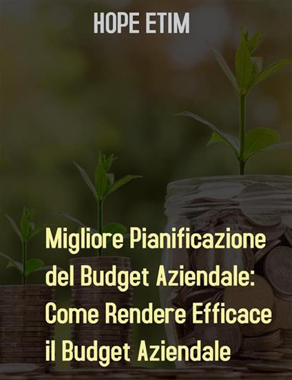 Migliore pianificazione del budget aziendale: come rendere efficace il budget aziendale - Hope Etim - ebook