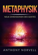 Metaphysik. Neue dimensionen des geistes