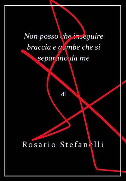 Non posso che inseguire braccia e gambe che si separano da me - Rosario Stefanelli - ebook