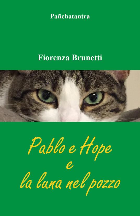  Pablo e Hope e la luna nel pozzo -  Fiorenza Brunetti - copertina