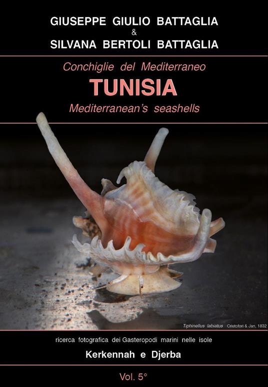 Conchiglie del Mediterraneo-Tunisia-Mediterranean's seashells. Ediz. italiana e inglese - Giuseppe Giulio Battaglia,Silvana Bertoli Battaglia - copertina