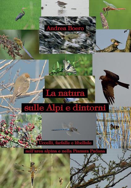 La natura sulle Alpi e dintorni - Andrea Boero - copertina