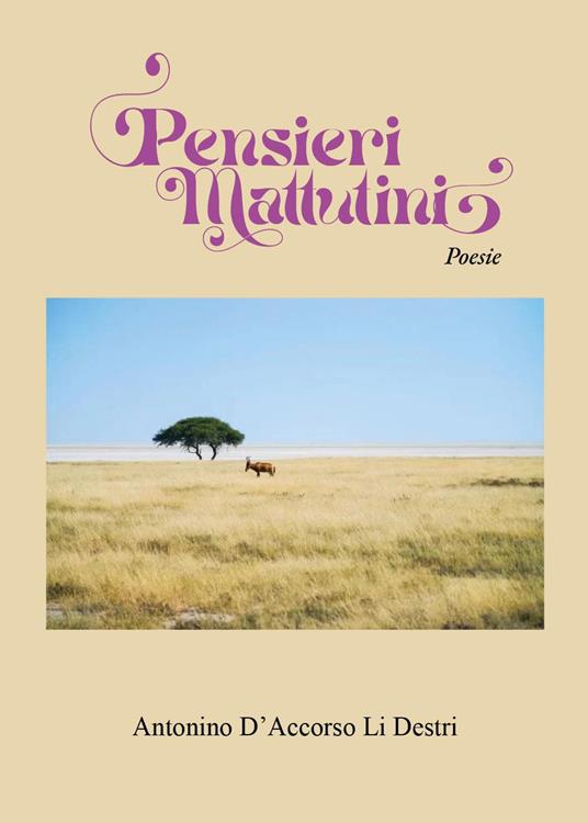 Pensieri mattutini - Antonino D'Accorso Li Destri - copertina