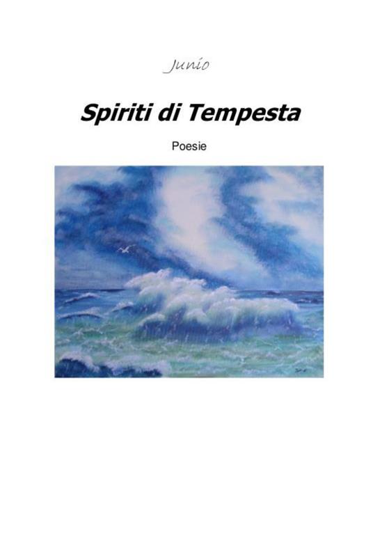 Spiriti di tempesta - Junio - copertina