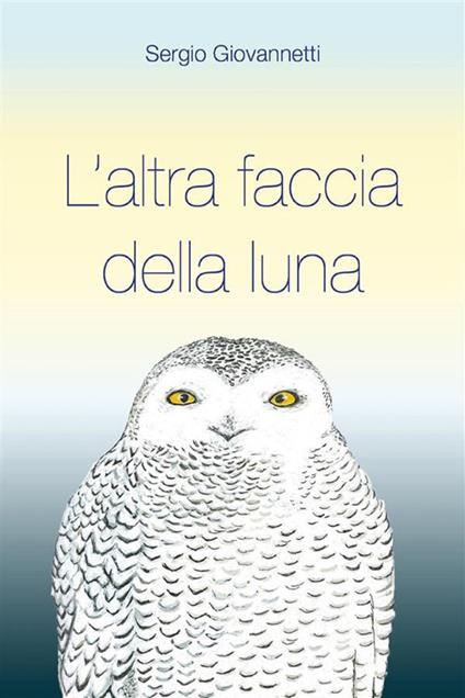 L' altra faccia della luna - Sergio Giovannetti - ebook