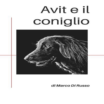 Avit e il coniglio