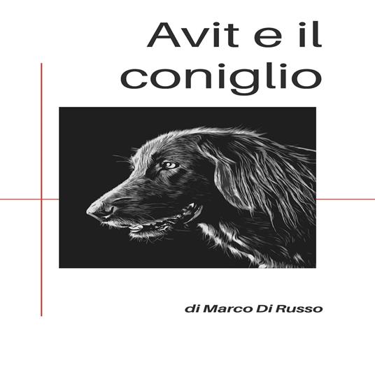 Avit e il coniglio