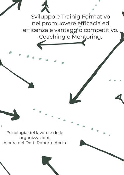 Sviluppo e training formativo nel promuovere efficacia ed efficienza e vantaggio competitivo - Roberto Acciu - copertina