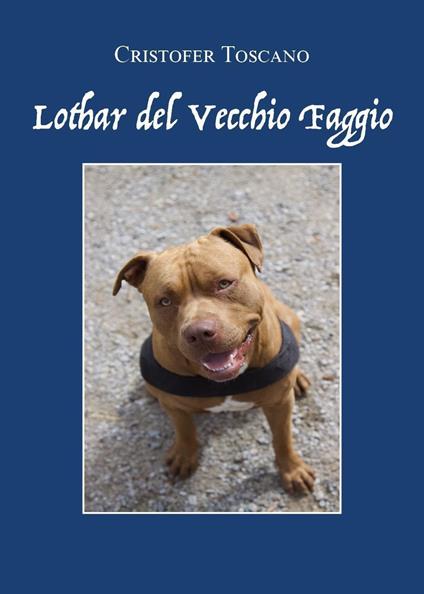 Lothar del Vecchio Faggio - Cristofer Toscano - copertina