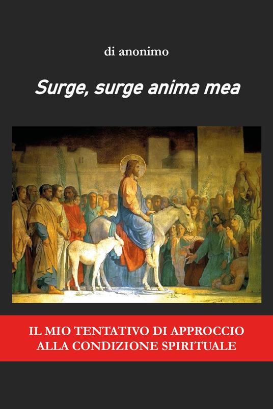 Surge, surge anima mea. Il mio tentativo di approccio alla condizione spirituale - Anonimo - copertina