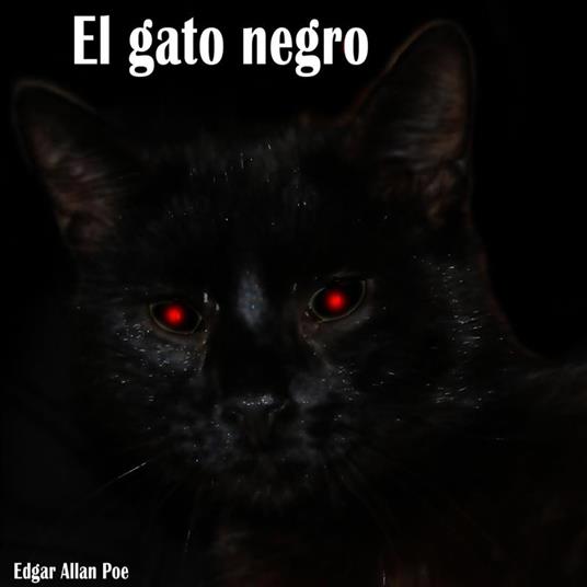 EL Gato Negro