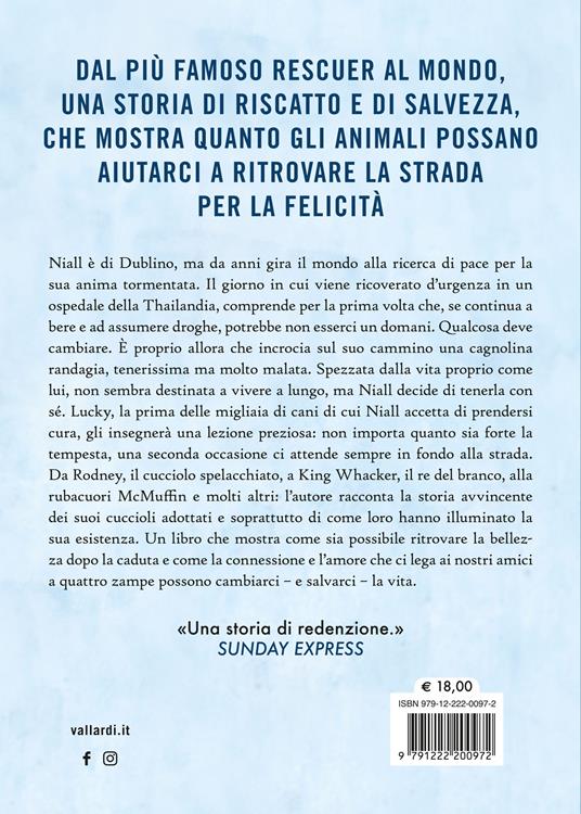 Alla fine della strada l'arcobaleno. Come i cani randagi mi hanno illuminato la vita - Niall Harbison - 4