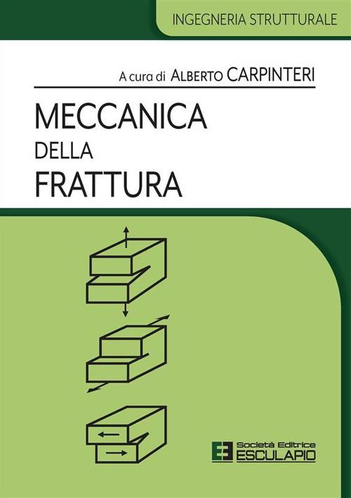 Meccanica della frattura - Alberto Carpinteri - ebook