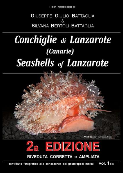 Conchiglie di Lanzarote-Seashells of Lanzarote. Vol. 1 - Giuseppe Giulio Battaglia,Silvana Bertoli Battaglia - copertina