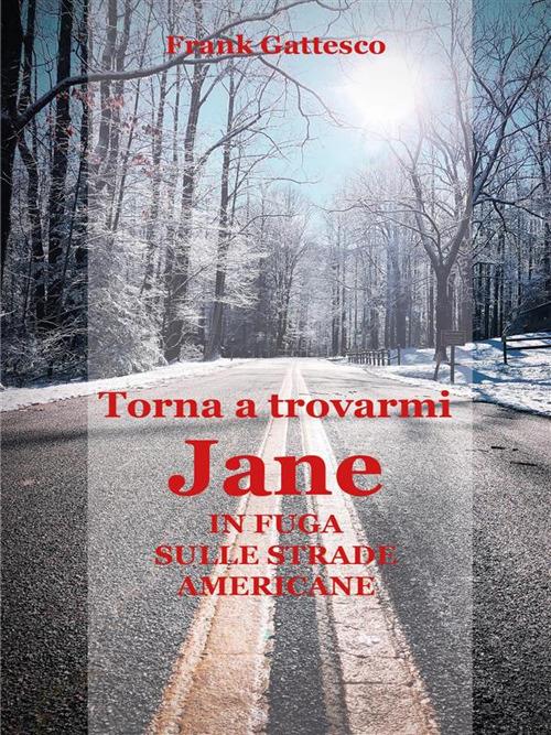 Torna a trovarmi, Jane. In fuga sulle strade americane - Frank Gattesco - ebook