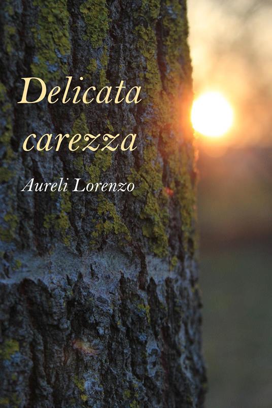 Delicata carezza - Lorenzo Aureli - copertina