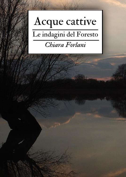 Acque cattive. Le indagini del Foresto - Chiara Forlani - copertina