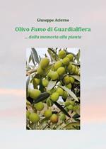 Olivo fumo di Guardialfiera... Dalla memoria della pianta