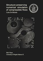 Structure-preserving numerical simulation of compressible flows