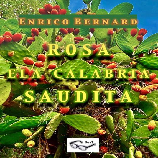 Rosa e la Calabria "Saudita"