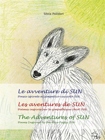 Le avventure di SUN - Les aventures de SUN - The Adventures of SUN - Silvia Polidori - ebook