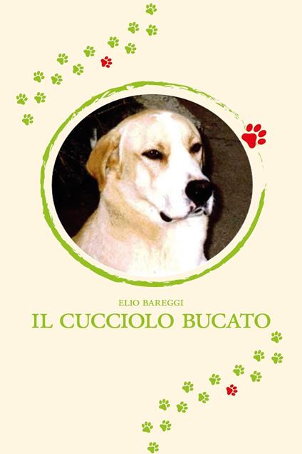 Il cucciolo bucato - Elio Bareggi - copertina