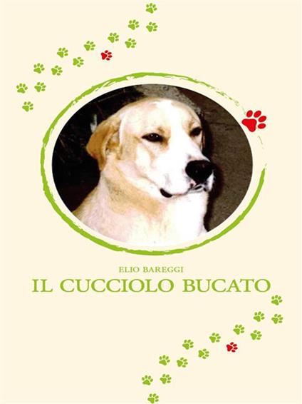 Il cucciolo bucato - Elio Bareggi - ebook