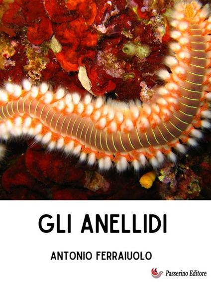 Gli anellidi - Antonio Ferraiuolo - ebook