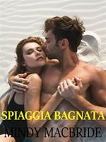 Spiaggia bagnata