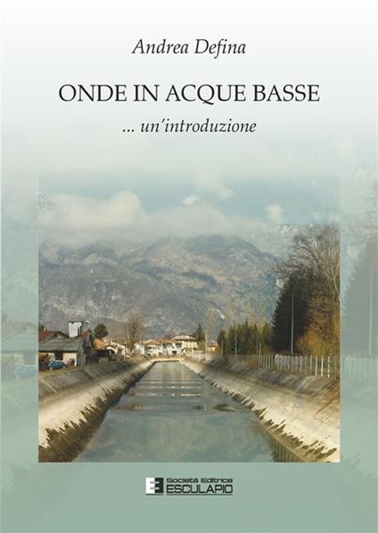 Onde in acque basse - Andrea Defina - ebook