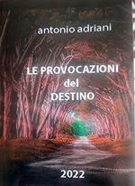 Le provocazioni del destino